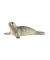 Schleich Wild Life 14801 Seehund Spielfigur