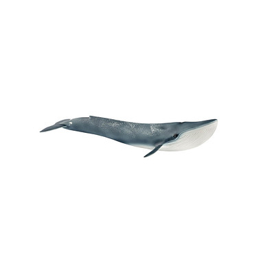 Schleich Wild Life 14806 Blauwal Spielfigur Schleich Wild Life 14806 Blauwal Spielfigur
