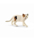 Schleich Farm World 13894 Amerikanische Kurzhaarkatze Spielfigur