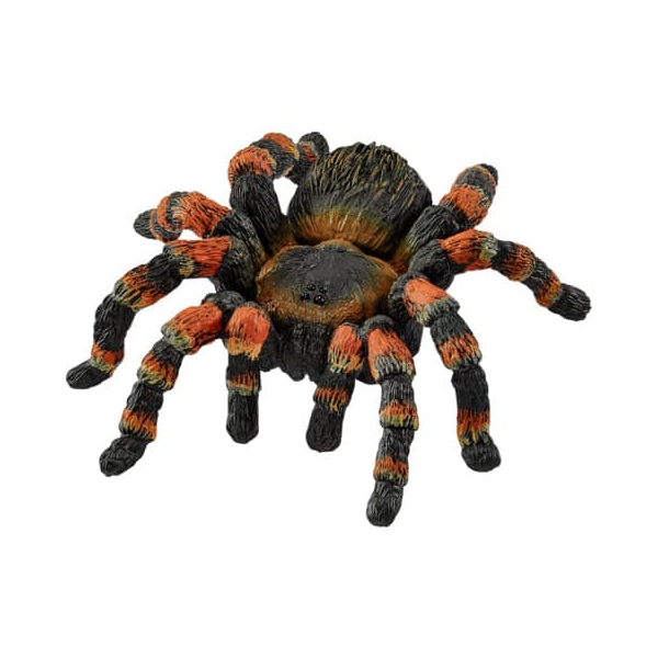 4059433025360 - Wild Life 14829 Vogelspinne Spielfigur 4059433025360 Schleich 4059433025360 - Wild Life 14829 Vogelspinne Spielfigur 4059433025360 Schleich