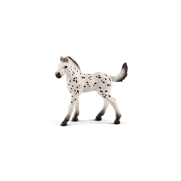 4059433025674 - Horse Club 13890 Knabstrupper Fohlen Spielfigur 4059433025674 Schleich