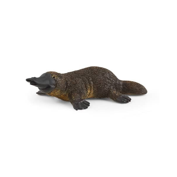 4059433267135 - Spielzeugfigur Schnabeltier 4059433267135 SCHLEICH 14840 4059433267135 - Spielzeugfigur Schnabeltier 4059433267135 SCHLEICH 14840