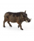 SCHLEICH 14843