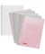 Collegeblock 10-6732796 Student Pastell, Lineatur 27 / liniert mit Rand innen/außen, A4, 90g, grün/rosa, 80 Blatt