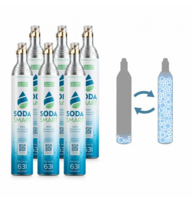 Tausch-Box CO² Zylinder Kohlensäure 450g