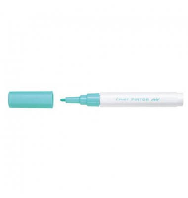 PILOT SW-PT-F-PG 4160064