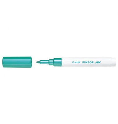 PILOT SW-PT-F-MG 4160074