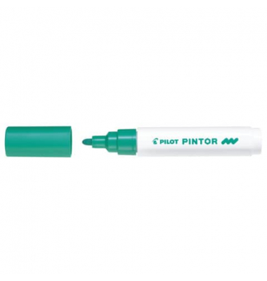 PILOT SW-PT-M-G 4161004