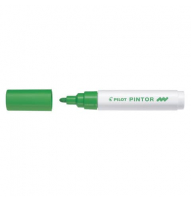 PILOT SW-PT-M-LG 4161011