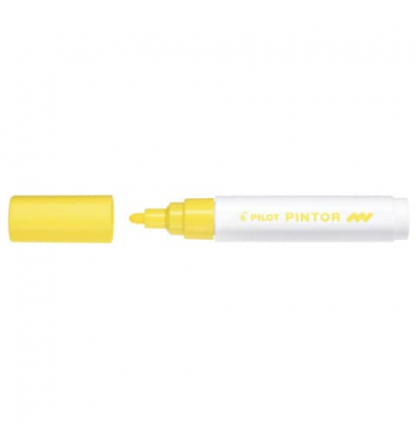 PILOT SW-PT-M-Y 4161005