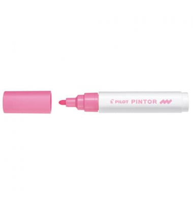 PILOT SW-PT-M-P 4161009