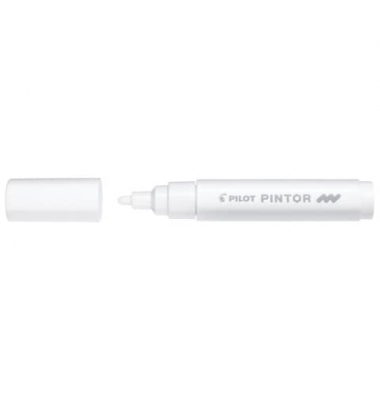 PILOT SW-PT-M-W 4161049