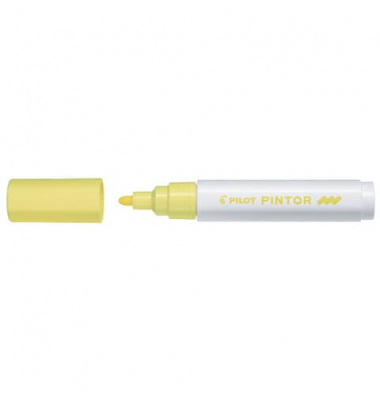 PILOT SW-PT-M-PY 4161065