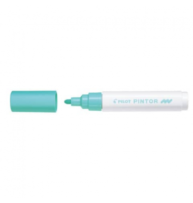 PILOT SW-PT-M-PG 4161064