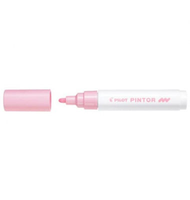 PILOT SW-PT-M-PP 4161069
