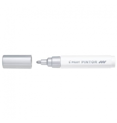 PILOT SW-PT-M-S 4161054
