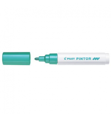 PILOT SW-PT-M-MG 4161074