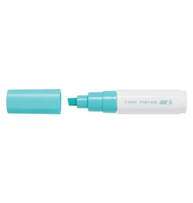 PILOT SW-PT-B-PG 4162064