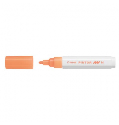 PILOT SW-PT-M-NO 4161806