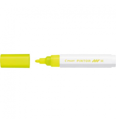 PILOT SW-PT-M-NY 4161805