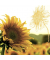 Herbst Lunchservietten - 33 x 33 cm