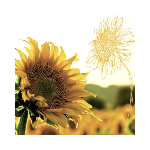 7321011952229 - Herbst Lunchservietten - 33 x 33 cm 7321011952229 PAPER+DESIGN 20 Stück 7321011952229 - Herbst Lunchservietten - 33 x 33 cm 7321011952229 PAPER+DESIGN 20 Stück