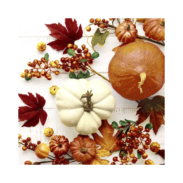 7321011960804 - Herbst Lunchservietten - 33 x 33 cm 7321011960804 PAPER+DESIGN 20 Stück 7321011960804 - Herbst Lunchservietten - 33 x 33 cm 7321011960804 PAPER+DESIGN 20 Stück
