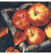 Herbst Lunchservietten - 33 x 33 cm