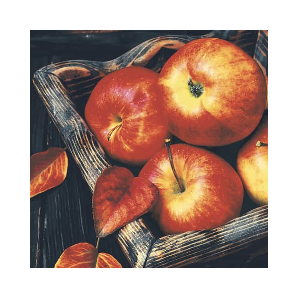 7321011960828 - Herbst Lunchservietten - 33 x 33 cm 7321011960828 PAPER+DESIGN 20 Stück 7321011960828 - Herbst Lunchservietten - 33 x 33 cm 7321011960828 PAPER+DESIGN 20 Stück