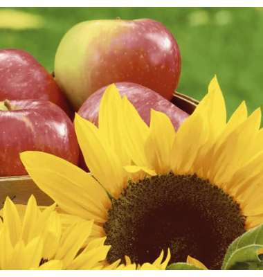 PAPER+DESIGN 199415 3lag