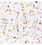 PAPER+DESIGN 199437  3lag