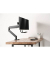 Neomounts by Newstar Monitor-Halterung NM-D775DXBLACK schwarz, Tischklemme, Tischbohrung