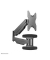 Neomounts by Newstar TV-Wandhalterung WL70-550BL12 schwarz