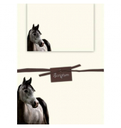 Briefpapiermappe Grey Beauty 1212