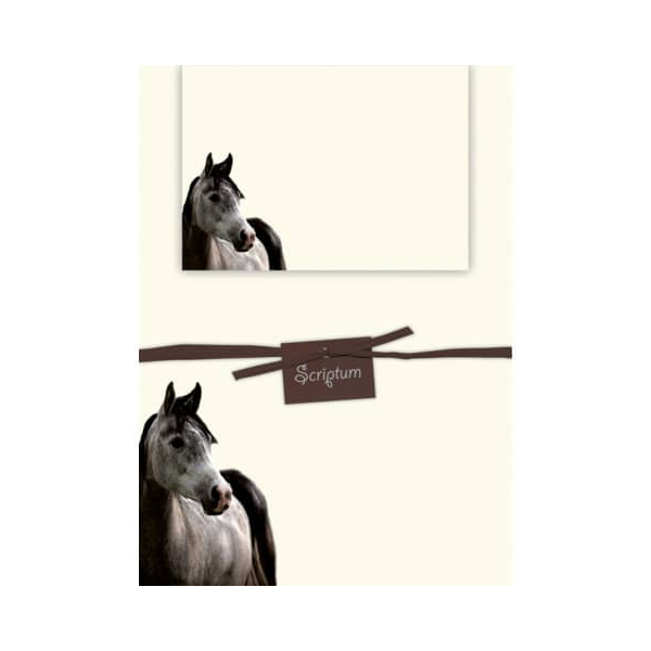 4015290502659 -  Briefpapiermappe Grey Beauty 1212 4015290502659 HEAD 12 Packung