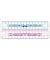 M245301 Plastiklineal 15cm Study Fancy Blister blau pink
