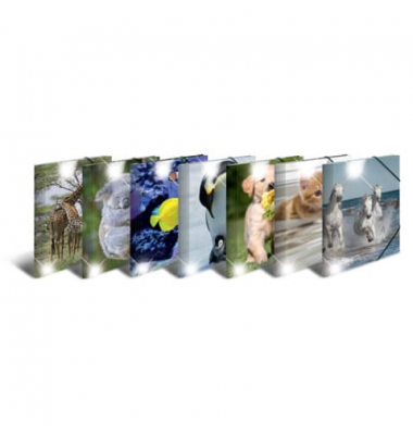 Gummizugmappe 19321, A4 motiv Polypropylen (PP), mit 3 Einschlagklappen