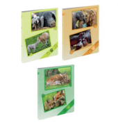 Ringbuch Tierspuren sortiert 99219-25, A4 25mm Ring-Ø Polypropylen
