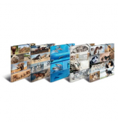 Gummizugmappe 19347, A3 Motiv Animals Karton kaschiert, mit 3 Einschlagklappen