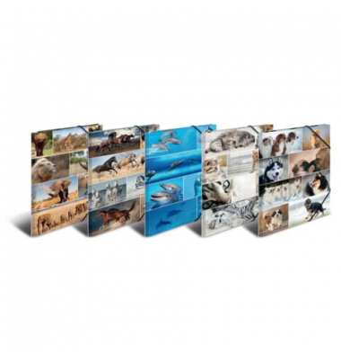 Gummizugmappe 19347, A3 Motiv Animals Karton kaschiert, mit 3 Einschlagklappen