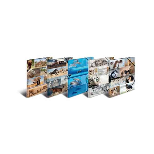 10 Stück Herma Gummizugmappe 19347, A3 Motiv Animals Karton kaschiert, mit 3 Einschlagklappen 4008705193474 Herma