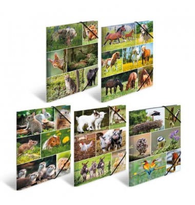 Gummizugmappe 19340, A4 bunt Karton, mit 3 Einschlagklappen