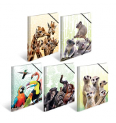 Gummizugmappe Sortiment Sammelmappen A4 PP 19956, A4 Motive Polypropylen (PP), mit 3 Einschlagklappen