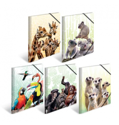 Gummizugmappe Sortiment Sammelmappen A4 PP 19956, A4 Motive Polypropylen (PP), mit 3 Einschlagklappen