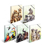 Gummizugmappe Sortiment Sammelmappen A3 PP 19965, A3 Motive Polypropylen (PP), mit 3 Einschlagklappen