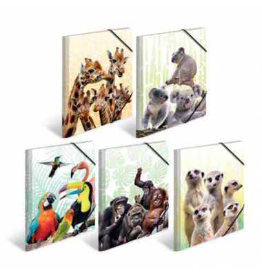 Gummizugmappe Sortiment Sammelmappen A3 PP 19965, A3 Motive Polypropylen (PP), mit 3 Einschlagklappen