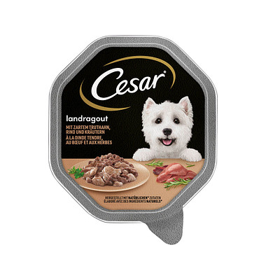 Hunde-Nassfutter Truthahn, Rind und Kräutern Hunde-Nassfutter Truthahn, Rind und Kräutern