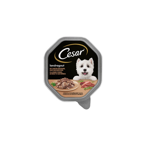 4008429093074 - Hunde-Nassfutter Truthahn Rind und Kräutern 4008429093074 Cesar