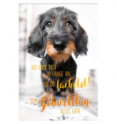 Geburtstagskarten 51-12651 Hund