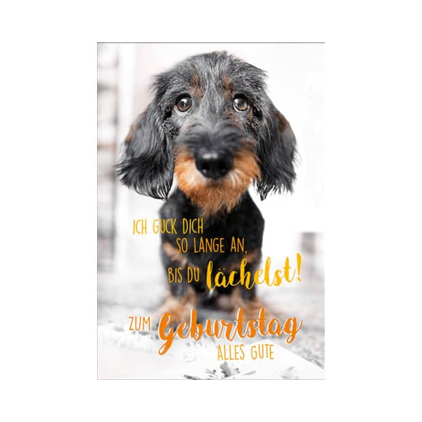 5 Stück PBs Geburtstagskarten 51-12651 Hund 9004546516262 PBs